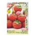 Ягоди Распи / Fragaria × ananassa Raspy Strawberry - 2 бр корени