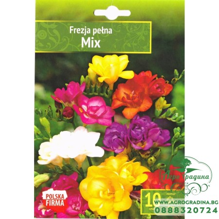 Фрезия Двойна Микс / Freesia Double Mix - 10 бр луковици