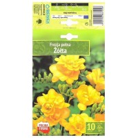 Фрезия Жълта  / Freesia Zolta- 10 бр луковици