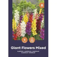Гладиоли Гигант Микс Giant Flowers Mix - 5 бр луковици