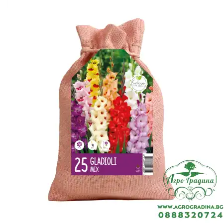 Чанта с Гладиоли Микс Gladiolus - 25 бр луковици