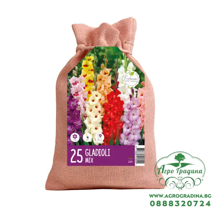 Чанта с Гладиоли Микс / Gladiolus - 25 бр луковици