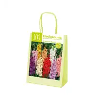 Чанта с Гладиоли Микс XL Gladiolus - 100 бр луковици