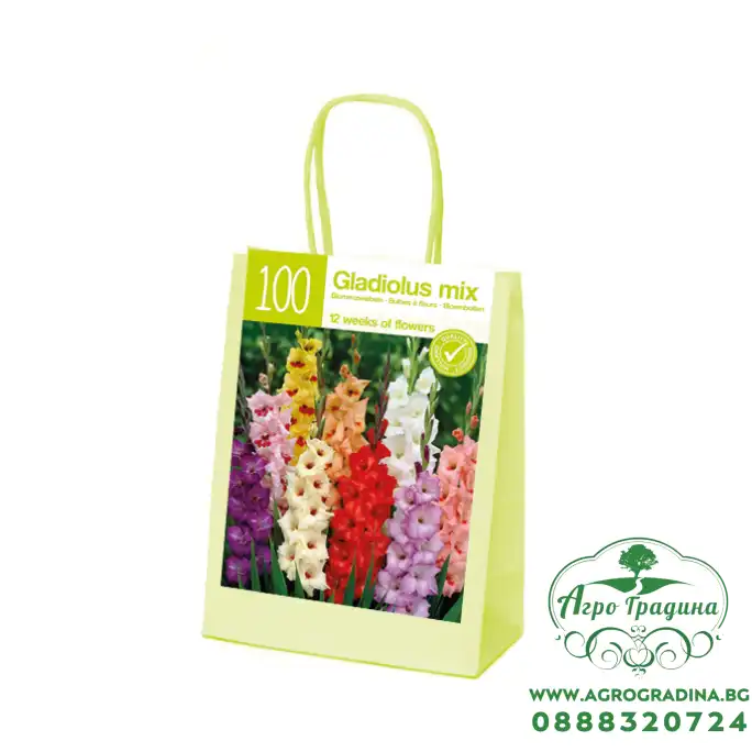 Чанта с Гладиоли Микс XL / Gladiolus - 100 бр луковици