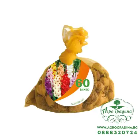 Чанта Гладиоли Микс Gladiolus Bag Mixed - 60 бр луковици