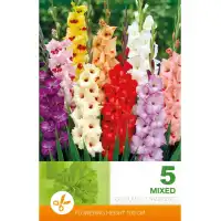 Гладиоли Микс - 5 бр луковици 