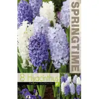 Зюмбюл Синьо/Бяло Микс / Hyacinthus Blue/White Mixed - 8 бр луковици