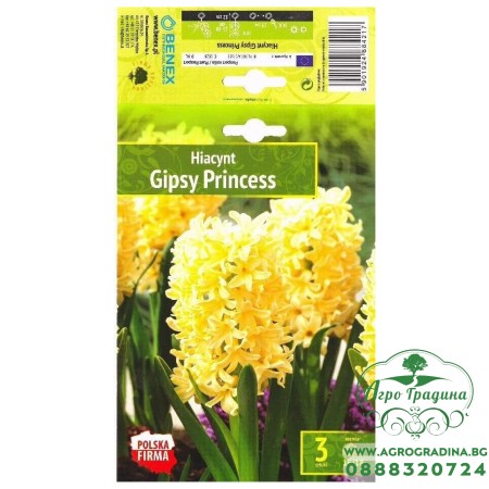 Зюмбюл Gipsy Princess Hyacinthus - 3 бр луковици