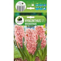 Зюмбюл Маскарад Hyacinthus Masquerade - 3 бр луковици