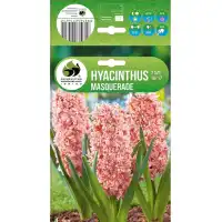 Зюмбюл Маскарад Hyacinthus Masquerade - 3 бр луковици