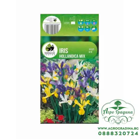 Ирис Холандски Микс - 10 бр луковици