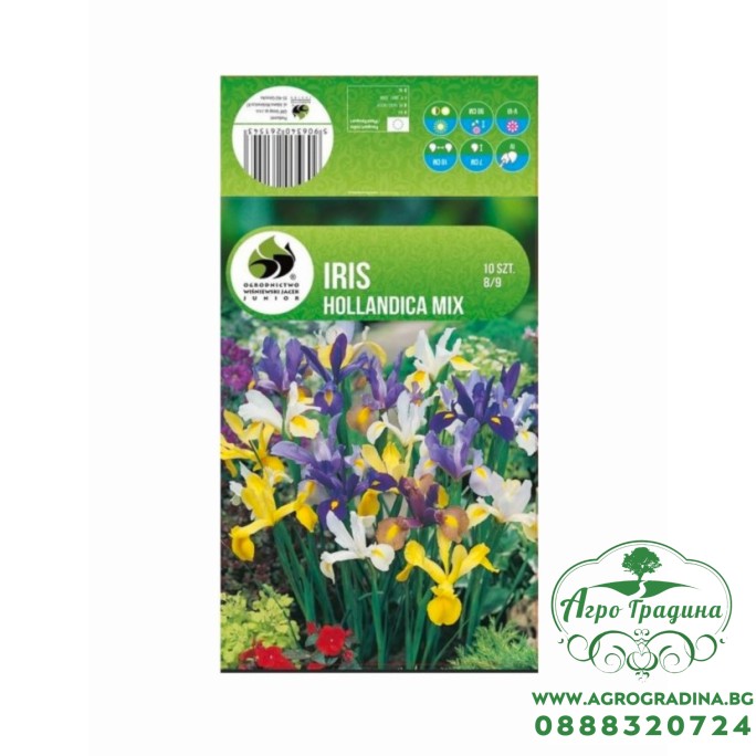 Ирис Холандски Микс - 10 бр луковици