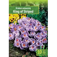 Минзухар Краля на райетата / King of the striped - 10 бр луковици