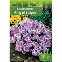 Минзухар Краля на райетата King of the striped - 10 бр луковици