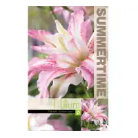 Лилиум Разбито сърце Lilium Broken heart - 1 бр луковица