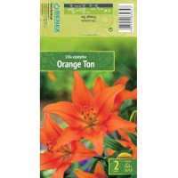 Лилиум Orange Ton - 2 бр луковица