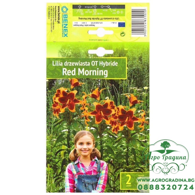 Лилиум Червена сутрин Lilium Red Morning - 2 бр луковици Лилиум Червена сутрин Lilium Red Morning - 2 бр луковици