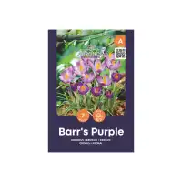 Минзухар Лилавото на Бар / Crocus Barrs Purple - AGRONOM - 7 бр луковици
