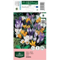 Минзухар Микс Гигант - AGRONOM - 7 бр луковици