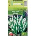 Мускари (кукувиче грозде) Албум / Muscari Album - 10 бр луковици 