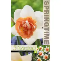 Нарцис Бонбонена принцеса  Narcissus Candy Princess - 5 бр луковици