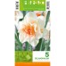 Нарцис Делнашоу / Narcissus Delnashaugh - 5 бр луковици