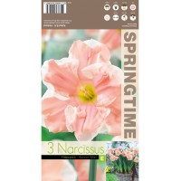 Нарцис Прасковен вихър / Narcissus Apricot Whirl - 3 бр луковици