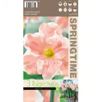 Нарцис Прасковен вихър Narcissus Apricot Whirl - 3 бр луковици