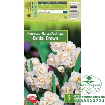 Нарцис Bridal Crown Narcissus - 3 бр луковици