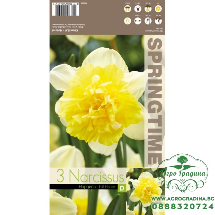 Нарцис Фул Хаус Narcissus Full House - 3 бр луковици Нарцис Фул Хаус Narcissus Full House - 3 бр луковици