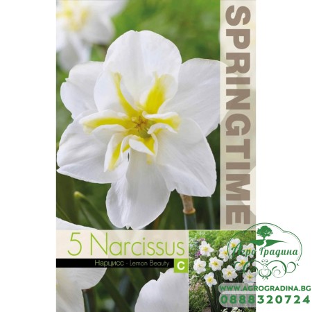 Нарцис Лимонена красота / Narcissus Lemon Beauty - 5 бр луковици