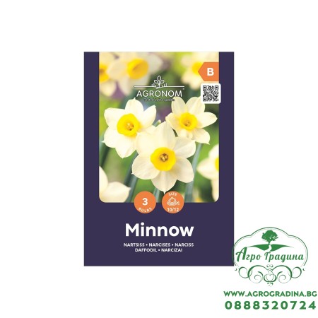 Нарцис Минноу / Narcissus Minnow - AGRONOM - 3 бр луковици