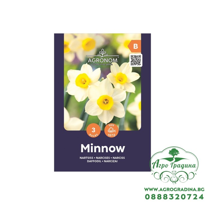 Нарцис Минноу / Narcissus Minnow - AGRONOM - 3 бр луковици