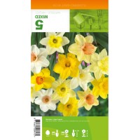 Нарцис Микс Голяма чашка / Narcissus Large Cupped - 5 бр луковици