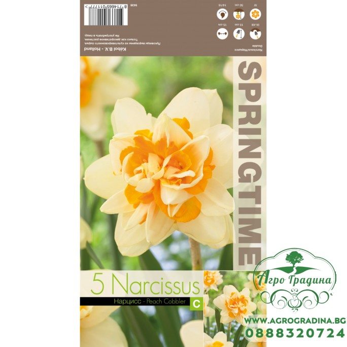 Нарцис Пийч Коблър / Narcissus Peach Cobbler - 5 бр луковици