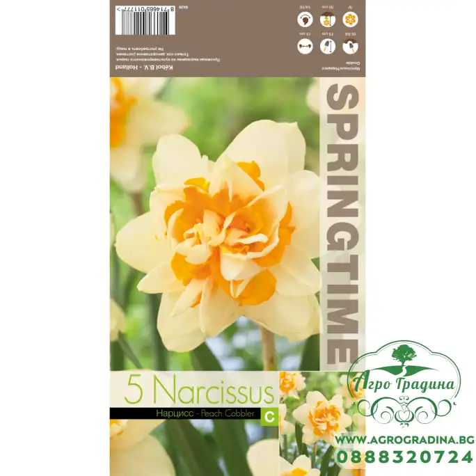 Нарцис Пийч Коблър Narcissus Peach Cobbler - 5 бр луковици Нарцис Пийч Коблър Narcissus Peach Cobbler - 5 бр луковици