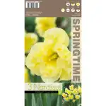 Нарцис Слънчева страна нагоре Narcissus Sunny Side Up - 3 бр луковици