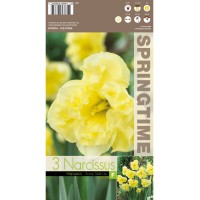 Нарцис Слънчева страна нагоре Narcissus Sunny Side Up - 3 бр луковици