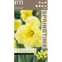 Нарцис Слънчева страна нагоре Narcissus Sunny Side Up - 3 бр луковици