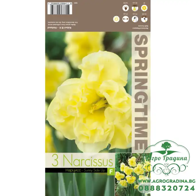 Нарцис Слънчева страна нагоре Narcissus Sunny Side Up - 3 бр луковици Нарцис Слънчева страна нагоре Narcissus Sunny Side Up - 3 бр луковици
