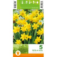 Нарцис Тет-а-Тет / Narcissus Tete-a-Tete - 5 бр луковици