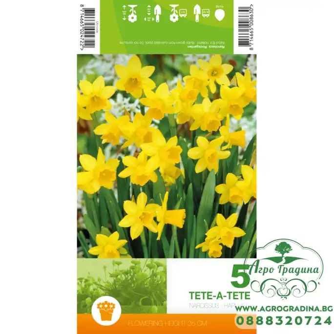 Нарцис Тет-а-Тет Narcissus Tete-a-Tete - 5 бр луковици Нарцис Тет-а-Тет Narcissus Tete-a-Tete - 5 бр луковици