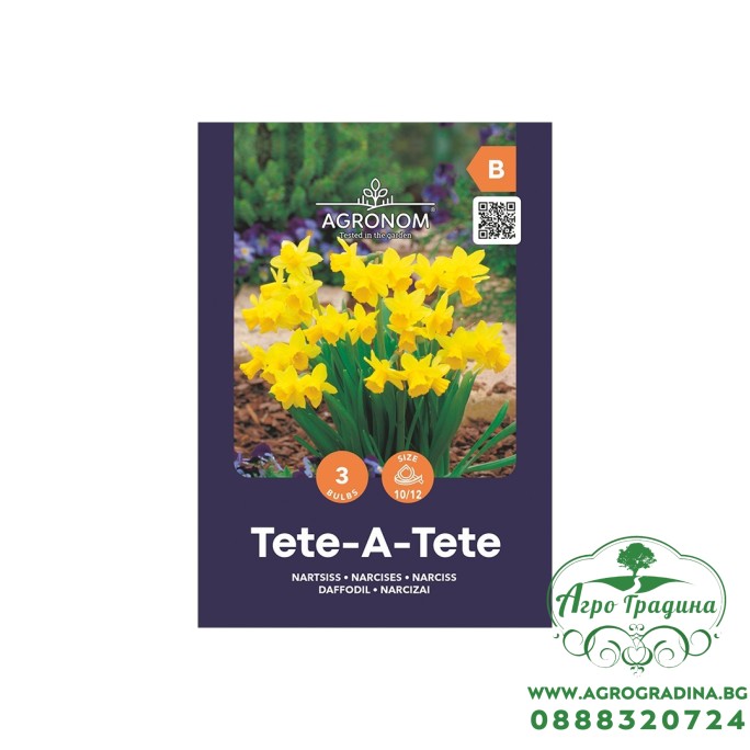 Нарцис Тет-а-Тет / Narcissus Tete-a-Tete - AGRONOM - 3 бр луковици
