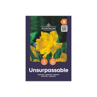 Нарцис Ненадминат / Narcissus Unsurpassable - AGRONOM - 3 бр луковици