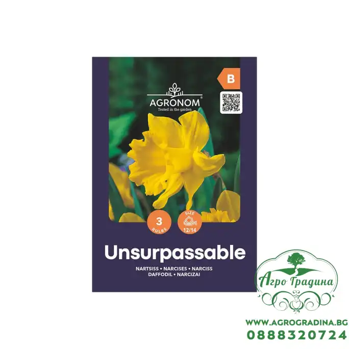 Нарцис Ненадминат Narcissus Unsurpassable - AGRONOM - 3 бр луковици Нарцис Ненадминат Narcissus Unsurpassable - AGRONOM - 3 бр луковици
