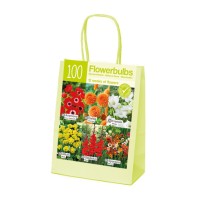 Чанта Оранжево-Червено-Бяло Микс XL / Orange-red-white - 100 бр луковици