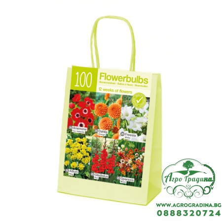 Чанта Оранжево-Червено-Бяло Микс XL / Orange-red-white - 100 бр луковици