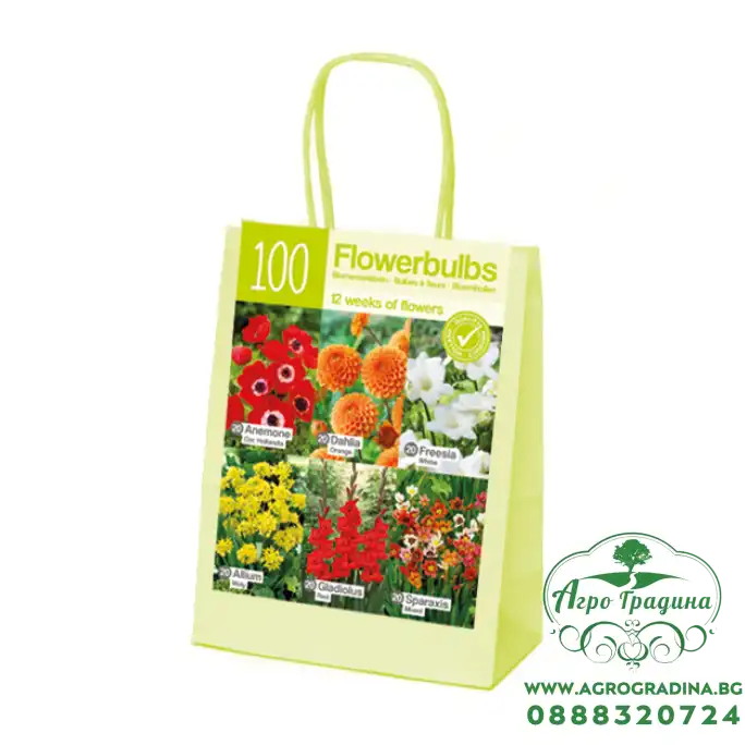 Чанта Оранжево-Червено-Бяло Микс XL / Orange-red-white - 100 бр луковици