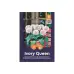 Декоративен лук Кралица на слоновата кост Allium Ivory Queen - AGRONOM - 2 бр луковици – Есенни луковици
