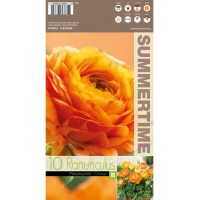 Лютиче Оранжево / Ranunculus Orange - 10 бр луковици